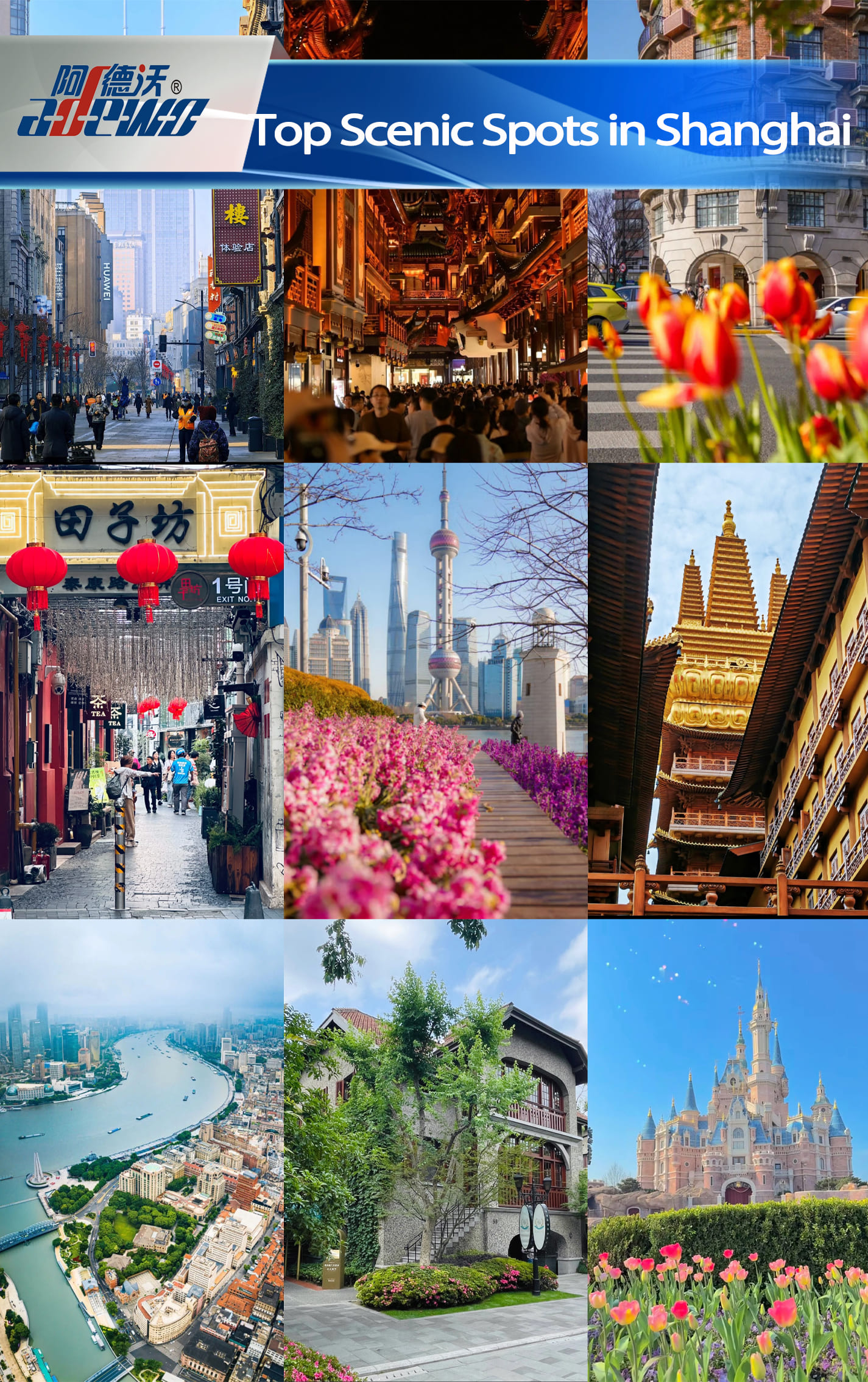 I migliori punti panoramici a Shanghai